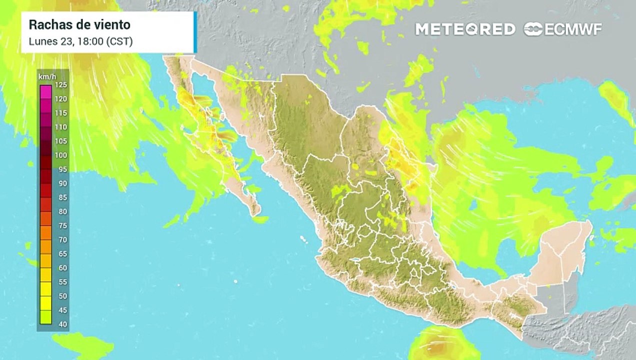Tormenta tropical "Otis"
