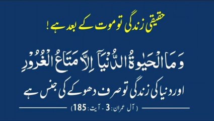 Haqeeqi Zindagi | دنیوی زندگی