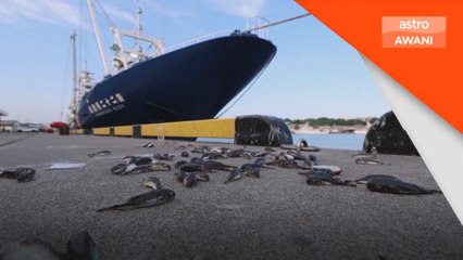 IAEA sahkan pelepasan sisa dari Loji Fukushima lancar