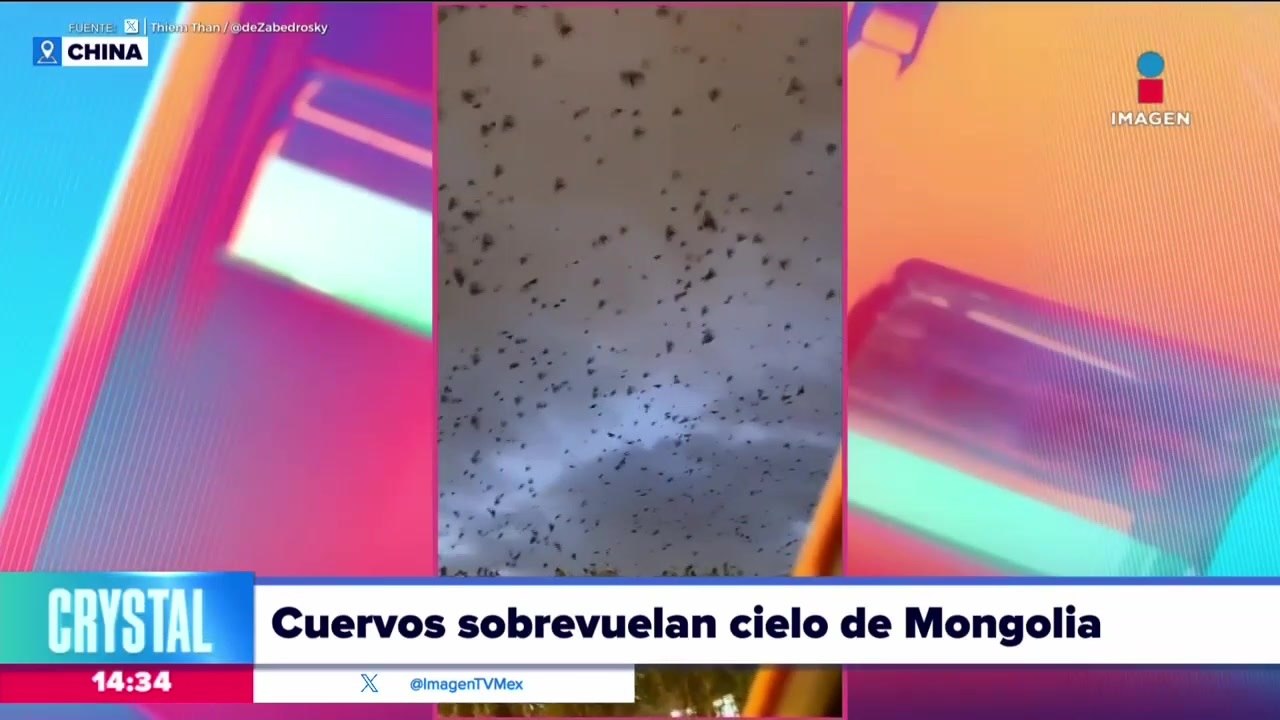 Cuervos sobrevuelan cielo de Mongolia