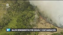 Bajos rendimientos en el agro por sequía y contaminación