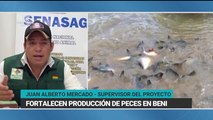 Fortalecen producción de peces en Beni