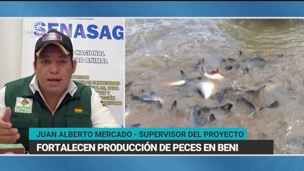 Fortalecen producción de peces en Beni