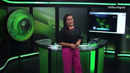 Uma crise “quase inevitável” está no horizonte – e a culpa é da IA