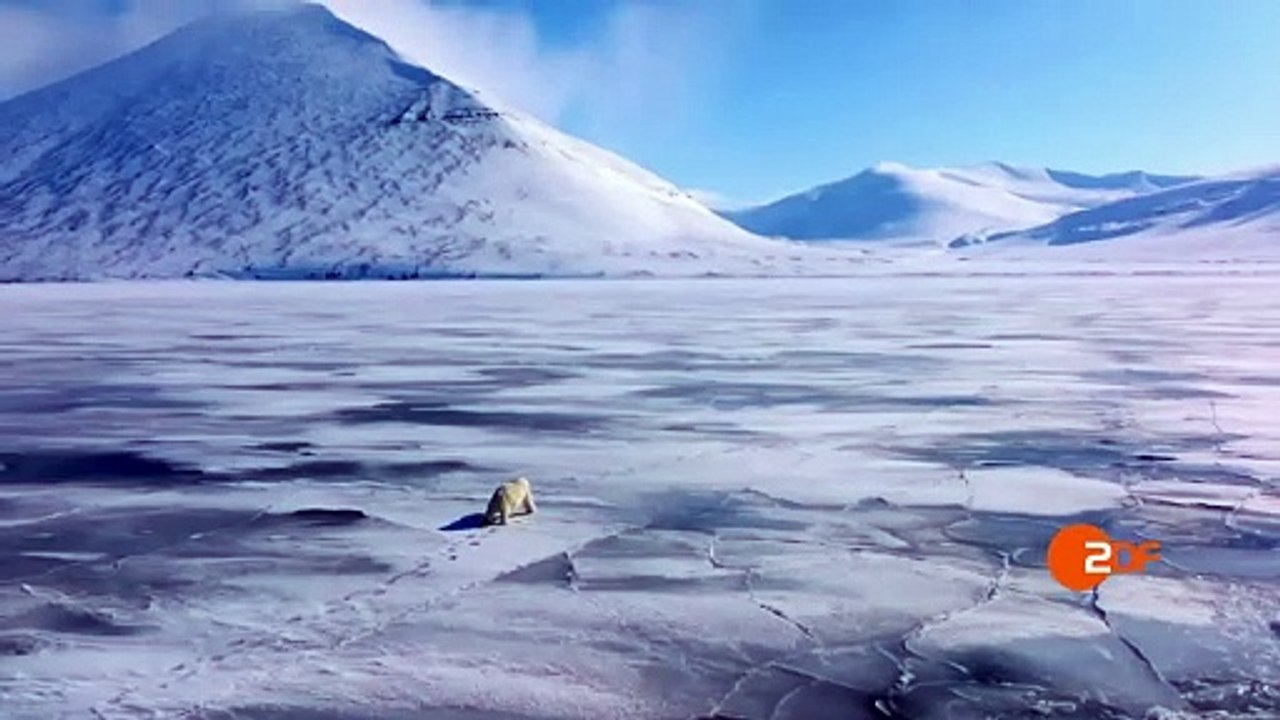 Die Arktis - 66,5 Grad Nord | movie | 2023 | Official Teaser