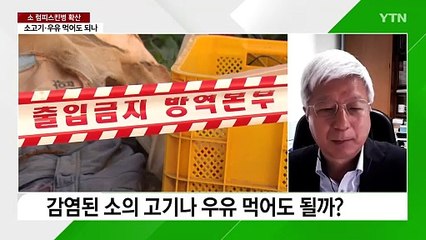 [뉴스라이더] 급속도로 퍼지는 럼피스킨병...고기·우유 먹어도 될까? / YTN