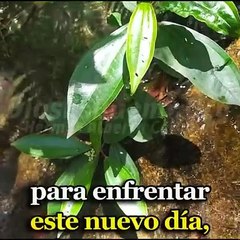 Oración de agradecimiento para recibir la misericordia de Dios