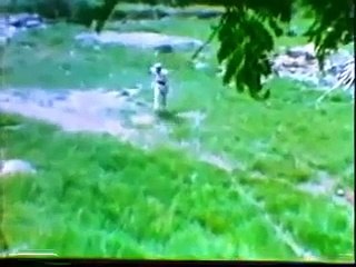 Wiro Sableng 212 - Orang - Orang SAKTI Dari TANGKUBAN PERAHU (1988)
