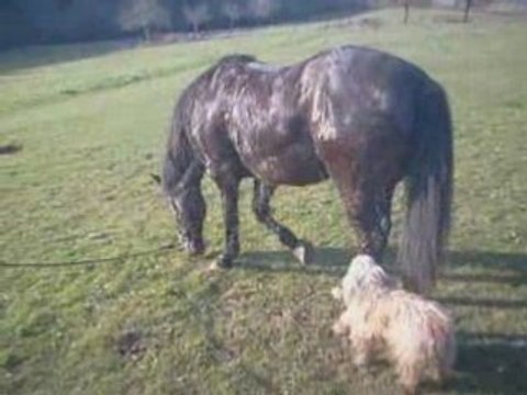 Ballade à cheval avec César et Déborah