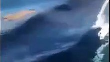 This video is dedicated to fish lovers