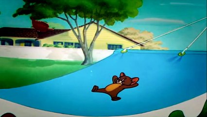 [short film comedy] Cat napping cartoon for kids