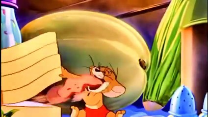 Tom and Jerry Cartoon - Smitten Kitten