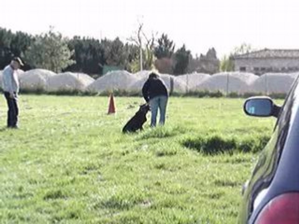 MOV06927