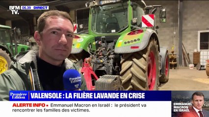 Valensole: la filière lavande en crise