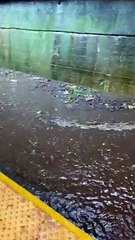 Subways Turned To Rivers