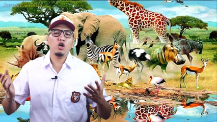 TRIVIA MENARIK DUNIA - SOAL DAN JAWABANNYA - HEWAN TUMBUHAN PENGETAHUAN UMUM - #KAMUTAHU- EPSISODE 2