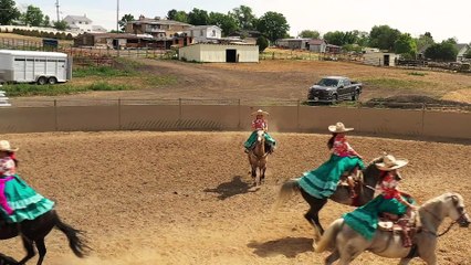 Human - Il Mondo Dentro Di Noi S01e04 Difese