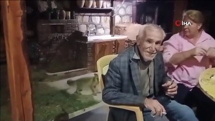 Tunceli'de tilkiler, kedilerle bir arada yemek yiyor