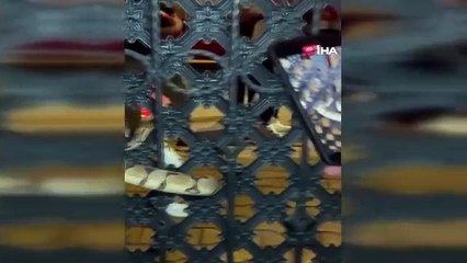 Bahçe kapısına dolanan pitonu görenler gözlerine inanamadı