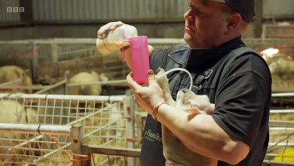 This Farming Life 2023 Episode 9 🌱 - Spring Awakening on the Farm