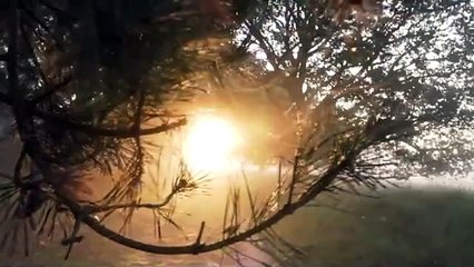 Beautiful Morning Nature 