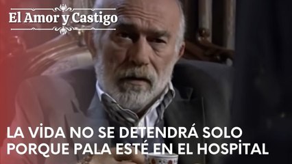 La vida no se detendrá solo porque Pala esté en el hospital | Amor y Castigo - Capitulo 22