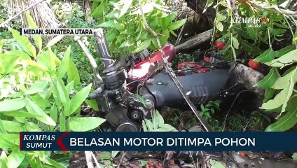 15 Motor Tertimpa Pohon Tumbang di Medan