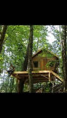 How to make Beautiful house in foŕest
