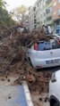 Bursa'da ağaç budama çalışması sırasında ağaç otomobilin üzerine devrildi