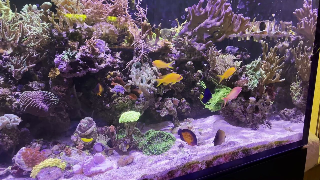 Le Reefer 625, 24/10/2023