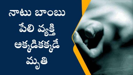 చిత్తూరు జిల్లా: నాటు బాంబు పేలుడు.. తునాతునకలైన వ్యక్తి