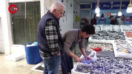 Sinop hamsisi 40 liraya düştü! Yurttaşlar tezgahlara akın etti