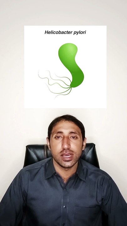 Helicobacter pylori   amoxil capsule uses