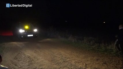 El brutal ataque de 5 perros que matan a una joven en Zamora