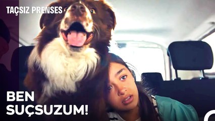 Masal, Polisler Tarafından Tutuklandı! - Taçsız Prenses 11