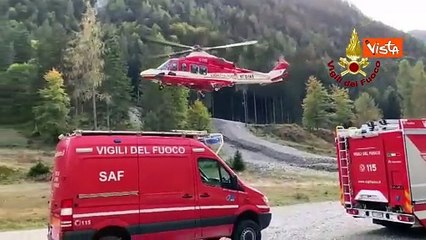 Salvato cane bloccato in un dirupo a Claut, in Friuli