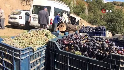 Bitlis'te doğal olarak üretiliyor, günlük olarak 2-3 yemek kaşığı tüketilmesi öneriliyor: Kansızlığı önlüyor ve tedavi ediyor!