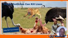 Folktale Genes Series: Story Time