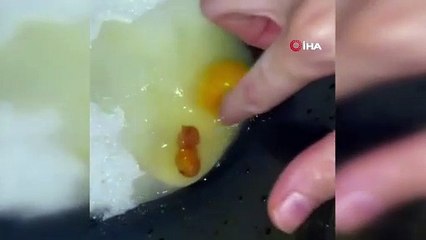 Marketten aldığı yumurtadan civciv embriyosu çıktı