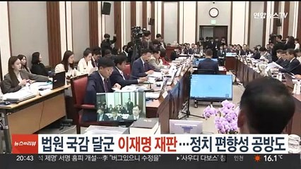 법원 국감 달군 '이재명 재판'…정치 편향성 공방도