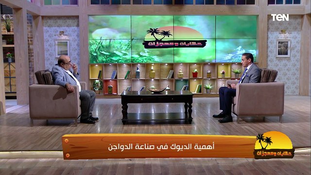 نصائح مهمة جدا من عميد طب بيطري القاهرة الأسبق لحماية الدواجن من الأمراض