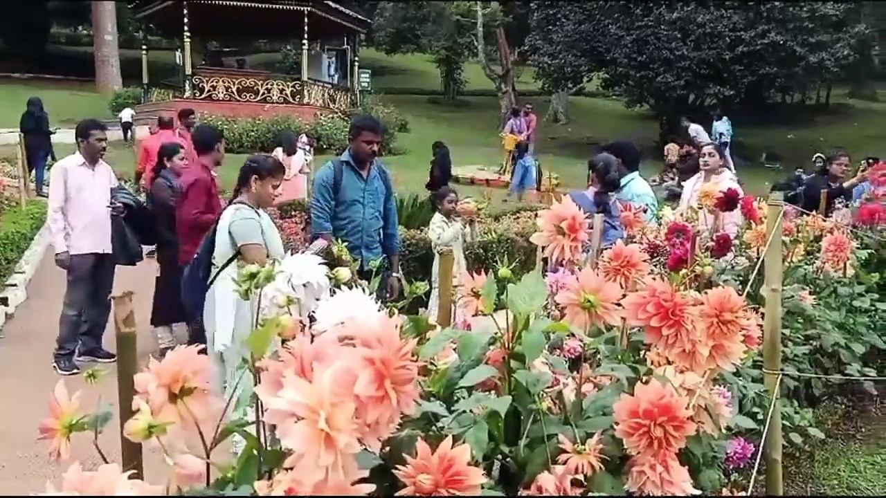 தொடர் விடுமுறை எதிரொலி; குன்னூர் சிம்ஸ் பூங்காவில்  படையெடுத்த சுற்றுலா பயணிகள்