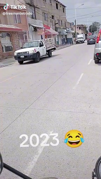 Perriatra en TikTok.