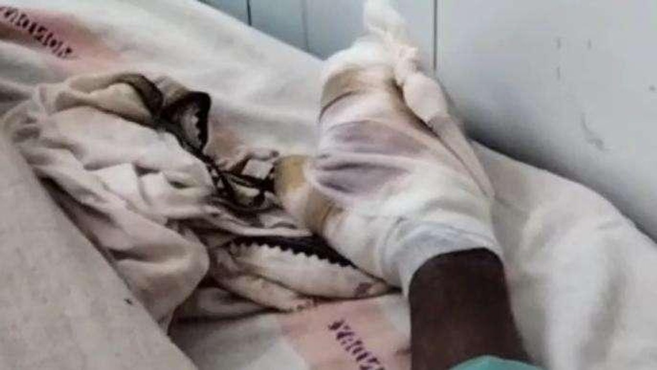 दर्दनाक: थ्रेसर से मूंगफली निकाल रहा था किसान फिर मशीन में आया हाथ उसके बाद जो हुआ..