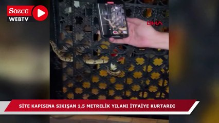Antalya'da site kapısına sıkışan 1,5 metrelik yılanı itfaiye kurtardı