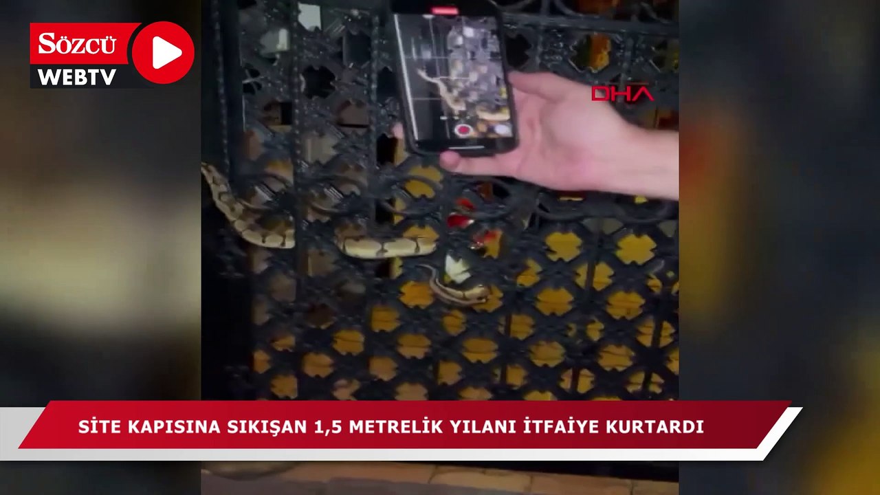 Antalya'da site kapısına sıkışan 1,5 metrelik yılanı itfaiye kurtardı