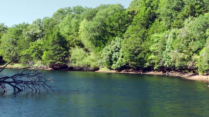 a menina que acreditava em milagres