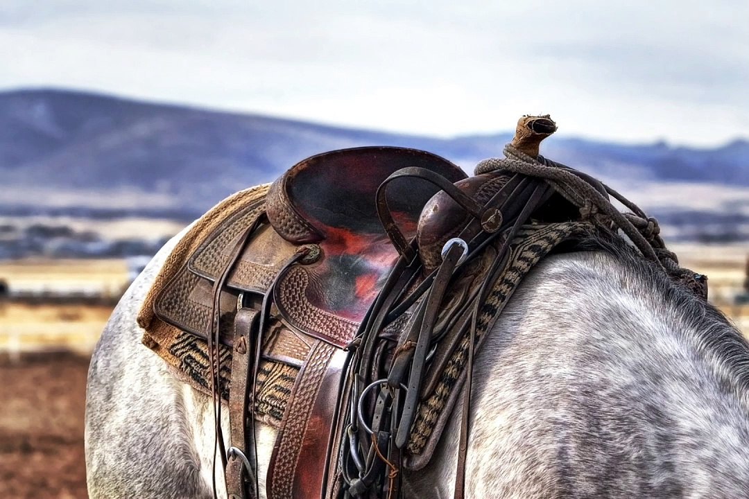 COWBOY HORSE MUSIC