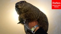 GOP Lawmaker Cracks Groundhog Day Joke Before Next Speaker Of The House Vote