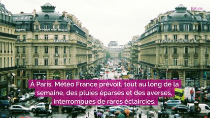 Que faire à Paris quand il pleut ? 3 musées gratuits tous les jours pour rester au sec